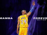 开云体育在线-蒂亚戈关键节点连续得分，爱尔兰对阵挪威的战术转折点