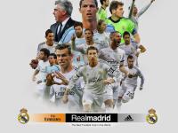 开云体育中国-蒂亚戈，从大场面先生到德甲收割者，勒沃库森如何从贝蒂斯手中赢得关键拼图