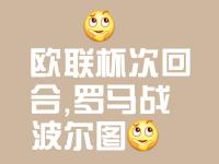 开云体育在线-关于坚持到底，欧洲杯激烈争夺的胜败之间的信息