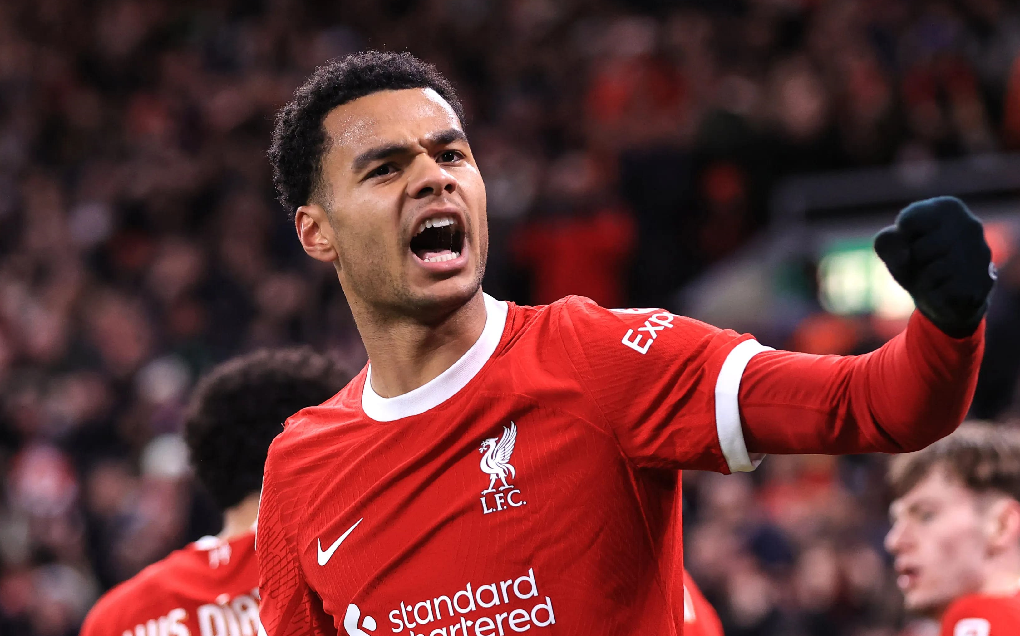 开云体育官网-利物浦前锋刷新进球纪录，成为焦点人物的简单介绍