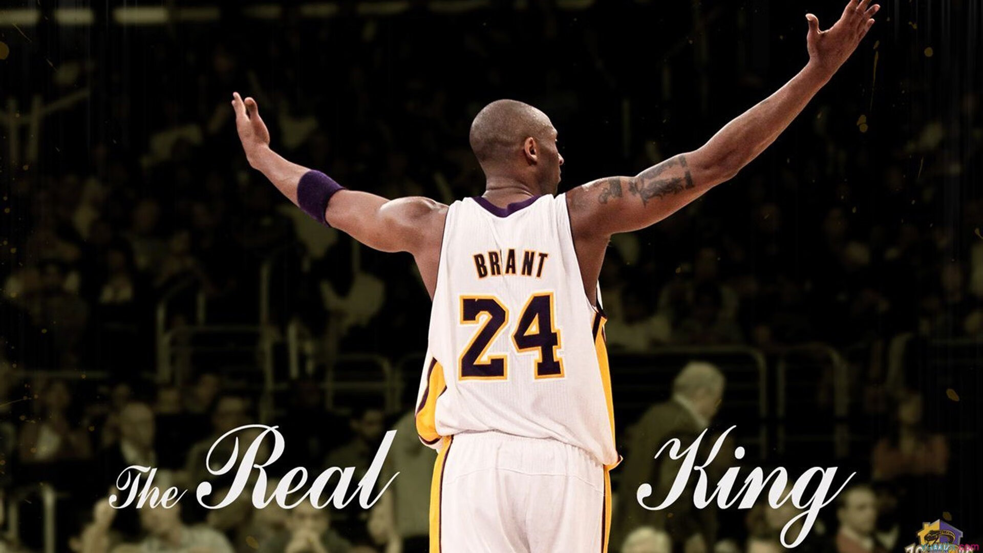 智利风暴席卷南美，德甲争冠战启示录，如何一波带走终极对决